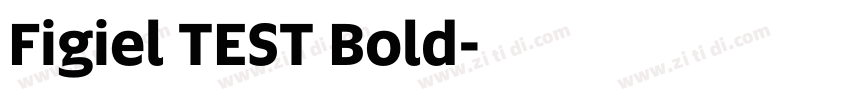 Figiel TEST Bold字体转换